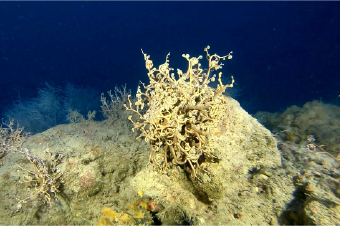 photo for about tile